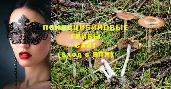 дурь Медногорск