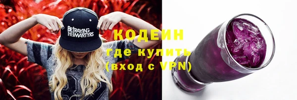 молекула духа Медвежьегорск