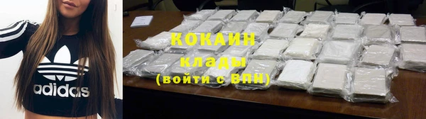 молекула духа Медвежьегорск