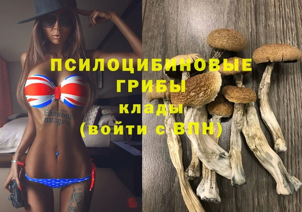 молекула духа Медвежьегорск