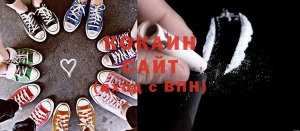 ГАЛЛЮЦИНОГЕННЫЕ ГРИБЫ Аркадак