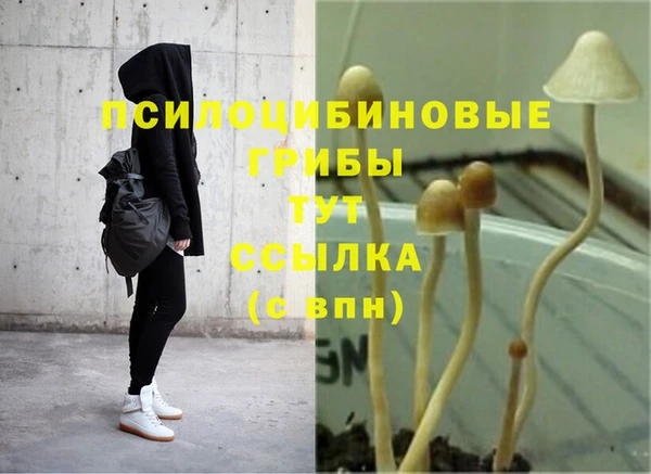 прущие крисы Мегион