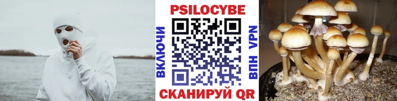 Псилоцибиновые грибы прущие грибы  маркетплейс Telegram  Торжок 