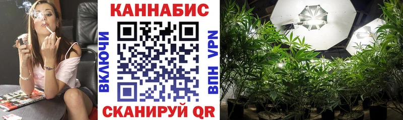 Каннабис план  цена   Торжок 
